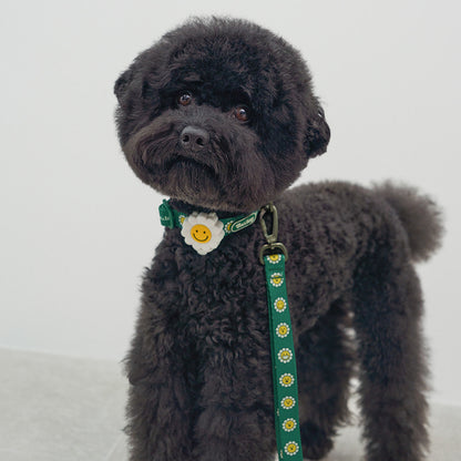 韓國新品上架【梨花娘總代理】🐾BAILEY 🐶秋冬新品 飽合亮色花朵微笑寵物牽繩(4色)