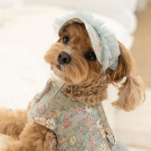 韓國新品上架【梨花娘總代理】🐾BAILEY 🐶新品 溫柔蕾絲荷葉法式小碎花寵物蓬蓬裙+牽引繩(2色)