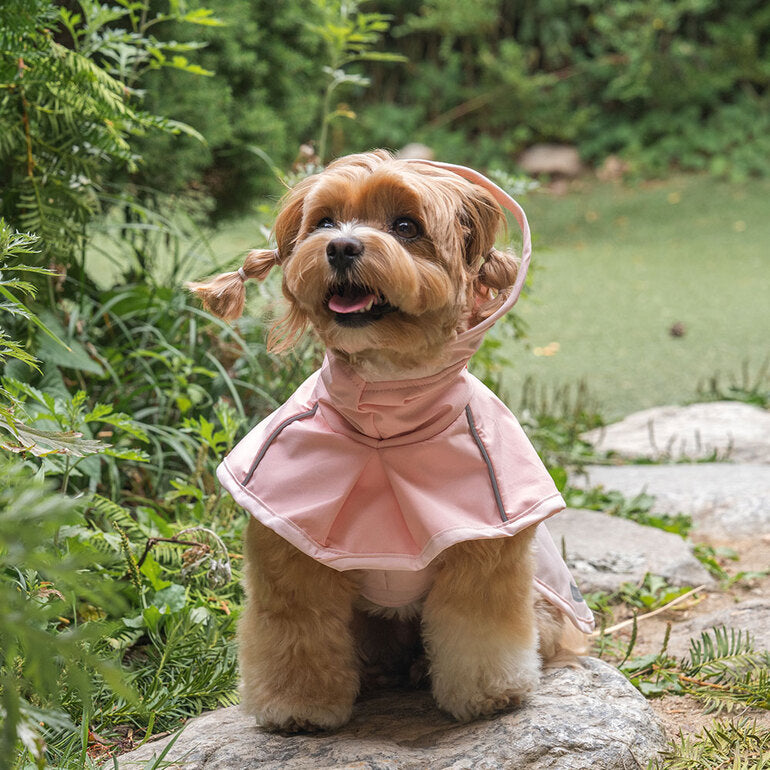 韓國🐾BAILEY💧【梨花娘總代理】新品上架💕貼心可透明帽沿輕薄防水安全反光設計寵物雨衣(3色)