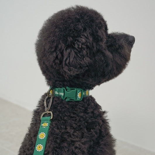 韓國新品上架【梨花娘總代理】🐾BAILEY 🐶秋冬新品 飽合亮色花朵微笑簡易款寵物項圈(4色)