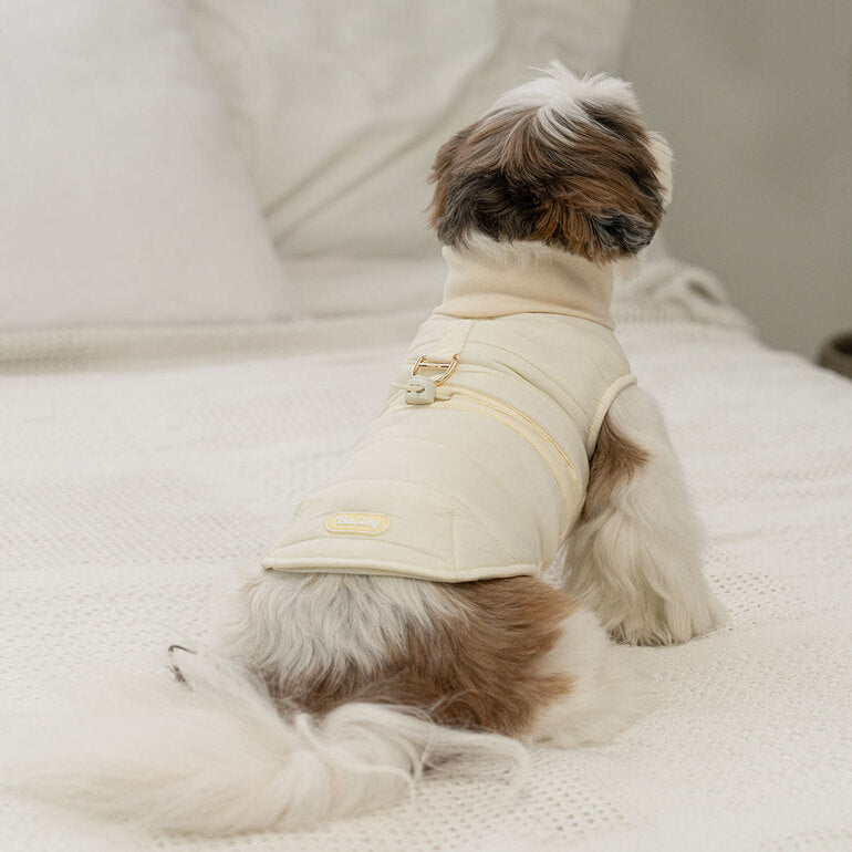 韓國新品上架【梨花娘總代理】🐾BAILEY 🐶秋冬新品 柔軟菌菌拜拜內襯防潑水高領設計保暖寵物服飾(3色)