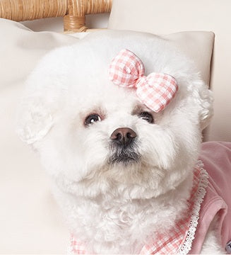 韓國新品上架【梨花娘總代理】🐾BAILEY 🐶韓系甜美可愛蝴蝶結鍛帶寵物髮夾(7色)
