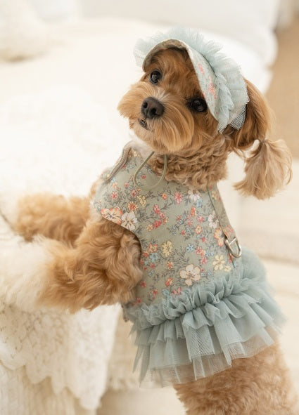 韓國新品上架【梨花娘總代理】🐾BAILEY 🐶新品 溫柔蕾絲荷葉法式小碎花寵物蓬蓬裙+牽引繩(2色)
