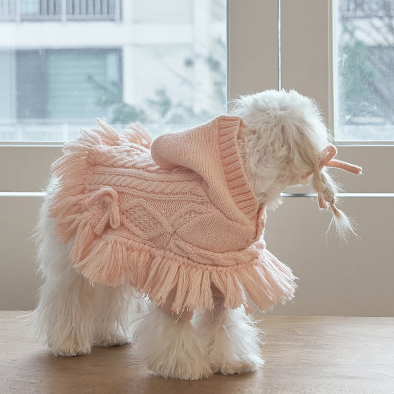 韓國【梨花娘總代理】🐾BAILEY 🐶秋冬新品 針織毛線斗篷連帽蝴蝶結保暖寵物毛衣(2色)