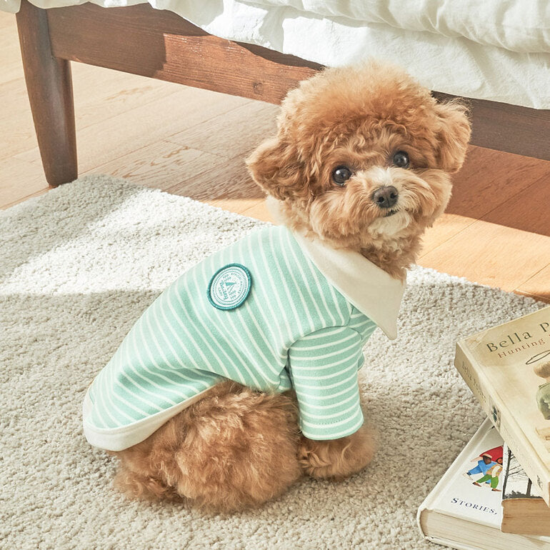 韓國新品上架【梨花娘總代理】🐾BAILEY 🐶秋冬新品 條紋翻領柔棉立體徽章刺繡寵物服飾(3色)