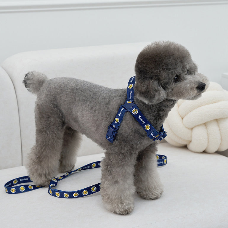 韓國新品上架【梨花娘總代理】🐾BAILEY 🐶秋冬新品 Daisy 雛菊亮色花朵微笑寵物胸背帶(4色)