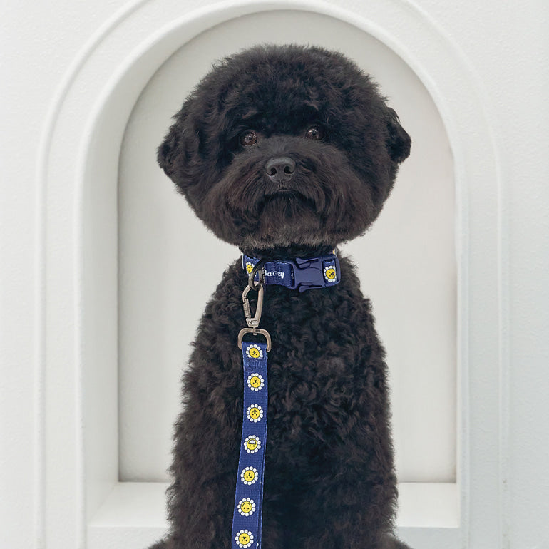 韓國新品上架【梨花娘總代理】🐾BAILEY 🐶秋冬新品 飽合亮色花朵微笑簡易款寵物項圈(4色)