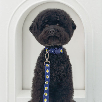 韓國新品上架【梨花娘總代理】🐾BAILEY 🐶秋冬新品 飽合亮色花朵微笑簡易款寵物項圈(4色)
