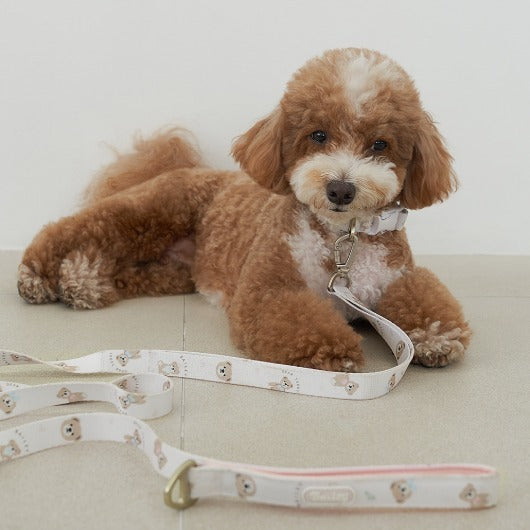韓國新品上架【梨花娘總代理】🐾BAILEY 🐶秋冬新品 馬卡龍柔軟色系小熊圖案寵物牽繩(3色)