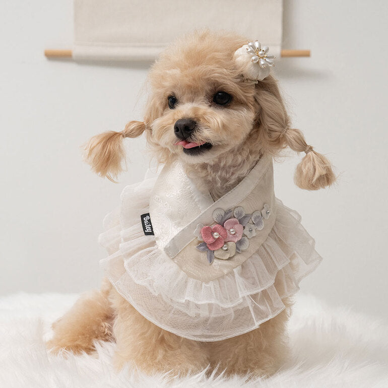 【梨花娘總代理】🐶 韓國BAILEY💖寵物品牌精緻婚紗夢幻領巾(現貨+預購)
