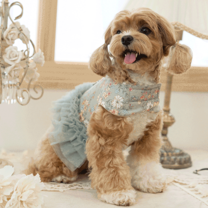 韓國新品上架【梨花娘總代理】🐾BAILEY 🐶新品 溫柔蕾絲荷葉法式小碎花寵物蓬蓬裙+牽引繩(2色)