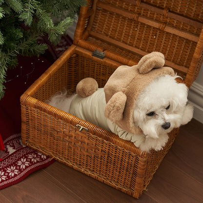 新品上架【梨花娘總代理】🐾BAILEY 🐶秋冬新品 小熊連帽毛球防潑水鋪棉寵物外套(2色) 寵愛禮物