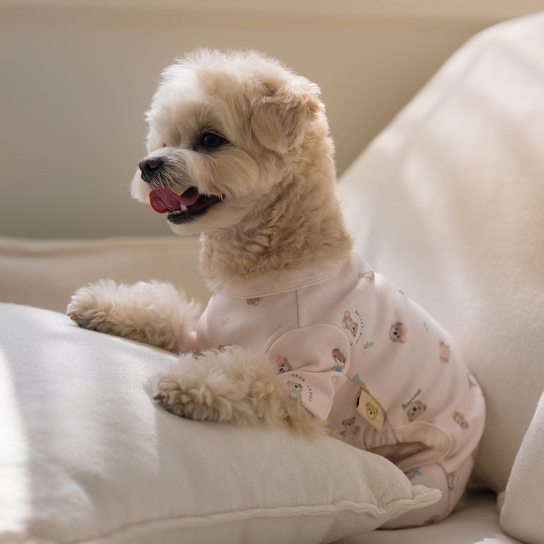 韓國新品上架【梨花娘總代理】🐾BAILEY 🐶新品 滿版小熊圖案舒適透氣寵物連身衣(3色)