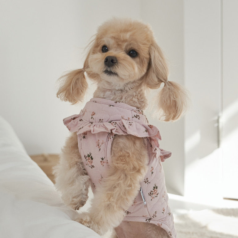 韓國新品上架【梨花娘總代理】🐾BAILEY 🐶秋冬新品 親膚純棉荷葉邊復古小碎花寵物服飾(2色)