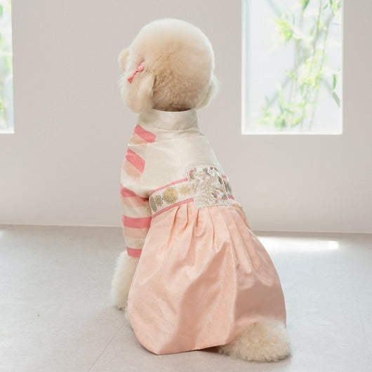 韓國新品上架【梨花娘總代理】🐾BAILEY 🐶秋冬新品 皇室尊貴刺繡流蘇寵物韓服(4色)