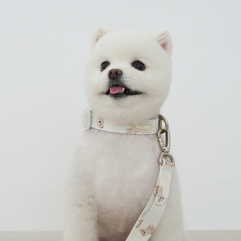 韓國新品上架【梨花娘總代理】🐾BAILEY 🐶秋冬新品 馬卡龍柔軟色系小熊圖案簡易款寵物項圈(3色)