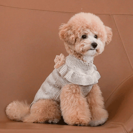 韓國新品上架【梨花娘總代理】🐾BAILEY 🐶秋冬新品 柔軟蝴蝶荷葉邊高領針織寵物服飾(3色)