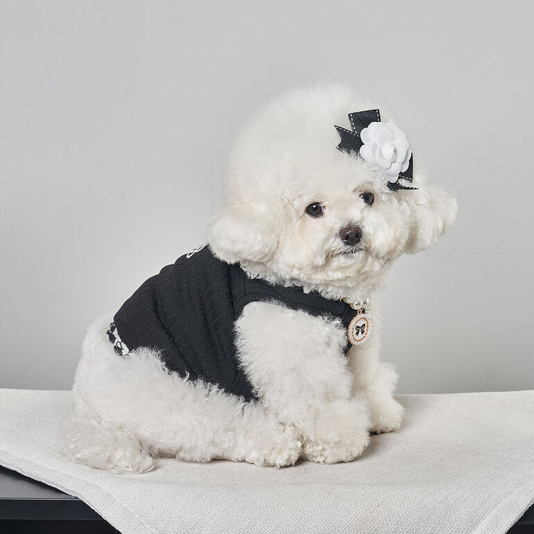 韓國新品上架【梨花娘總代理】🐾BAILEY 🐶秋冬新品 山茶花刺繡方形領口粗花編織保暖針織寵物服飾(2色)