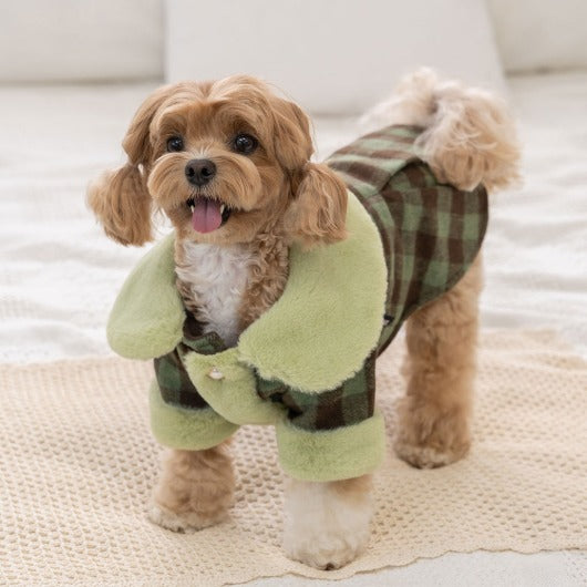 韓國新品上架【梨花娘總代理】🐾BAILEY 🐶秋冬新品 格子翻領珍珠鈕釦保暖寵物毛衣(2色)