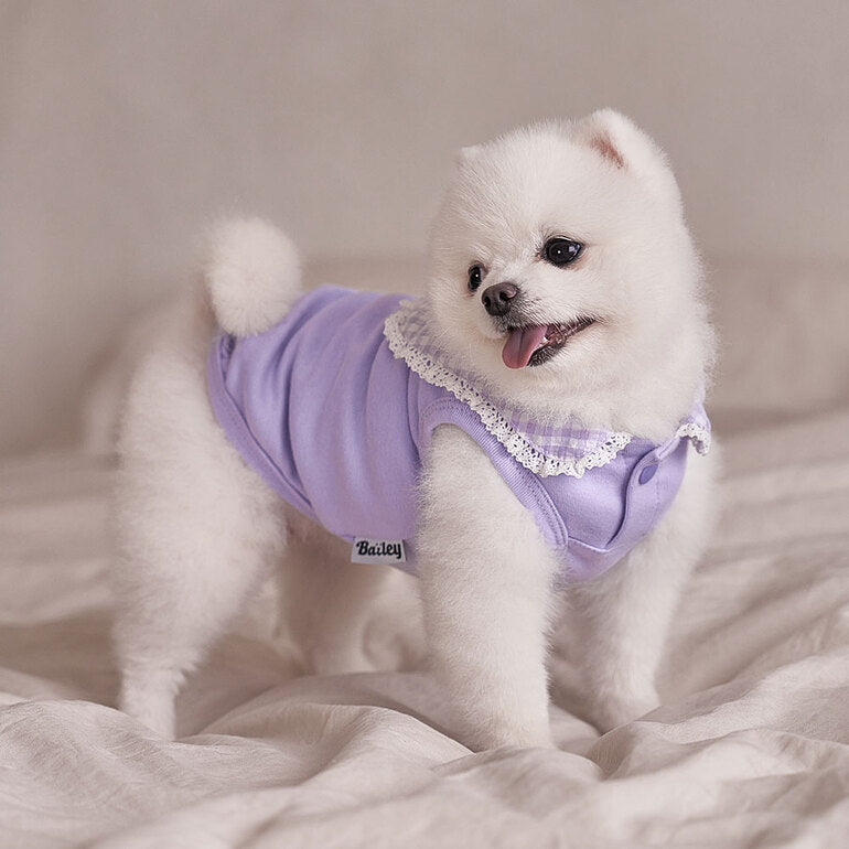 韓國新品上架【梨花娘總代理】🐾BAILEY 🐶秋冬新品 韓系溫小公主格子領蕾絲邊刺繡寵物服飾(3色)