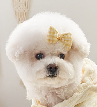 韓國新品上架【梨花娘總代理】🐾BAILEY 🐶韓系甜美可愛蝴蝶結鍛帶寵物髮夾(7色)