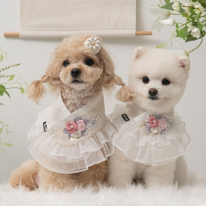 【梨花娘總代理】🐶 韓國BAILEY💖寵物品牌精緻婚紗夢幻領巾(現貨+預購)