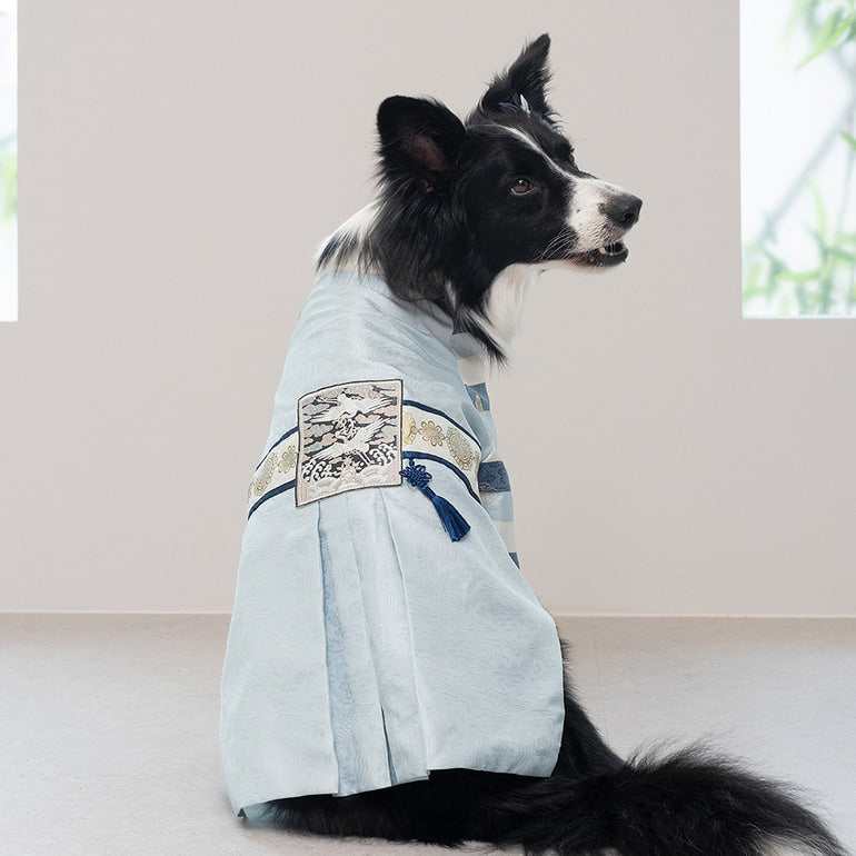 韓國新品上架【梨花娘總代理】🐾BAILEY 🐶秋冬新品 皇室尊貴刺繡流蘇寵物韓服(4色)