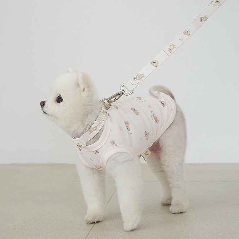 韓國新品上架【梨花娘總代理】🐾BAILEY 🐶秋冬新品 馬卡龍柔軟色系小熊圖案寵物牽繩(3色)