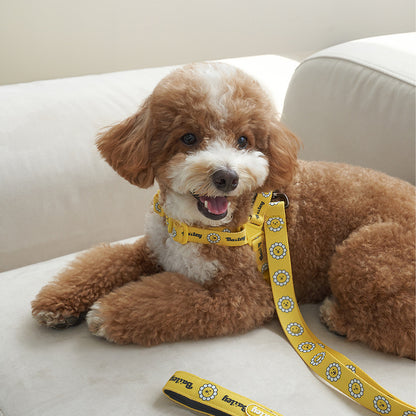 韓國新品上架【梨花娘總代理】🐾BAILEY 🐶秋冬新品 Daisy 雛菊亮色花朵微笑寵物胸背帶(4色)