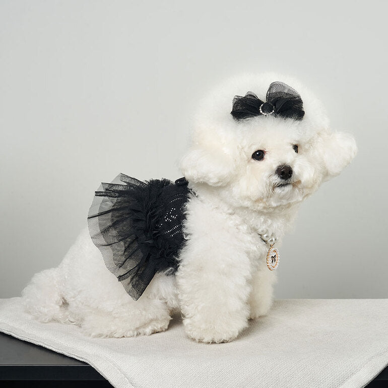 韓國新品上架【梨花娘總代理】🐾BAILEY 🐶秋冬新品 針織拼接蕾絲氣質優雅花朵芭蕾舞裙寵物服飾(2色)