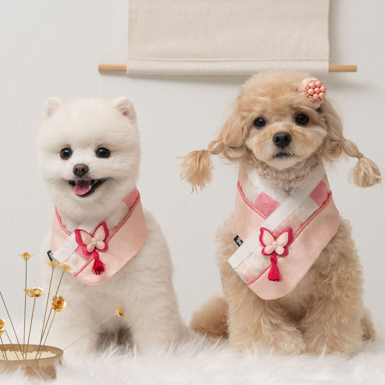 韓國新品上架【梨花娘總代理】🐾BAILEY 🐶秋冬新品 韓國皇室蝴蝶流蘇精緻韓服領巾(4色)