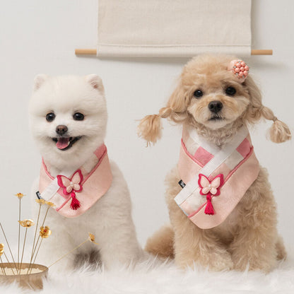 韓國新品上架【梨花娘總代理】🐾BAILEY 🐶秋冬新品 韓國皇室蝴蝶流蘇精緻韓服領巾(4色)