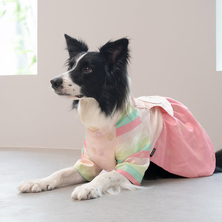 韓國新品上架【梨花娘總代理】🐾BAILEY 🐶秋冬新品 皇室公主刺繡百褶裙寵物韓服(2色)