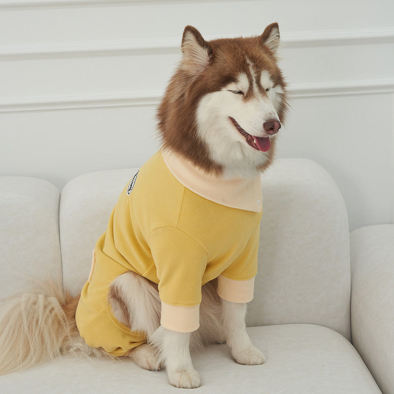 韓國新品上架【梨花娘總代理】🐾BAILEY 🐶秋冬新品 領口釦環設計一件式保暖細絨毛衣寵物服飾(3色)