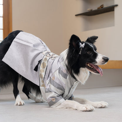 韓國新品上架【梨花娘總代理】🐾BAILEY 🐶秋冬新品 皇室尊貴刺繡流蘇寵物韓服(4色)