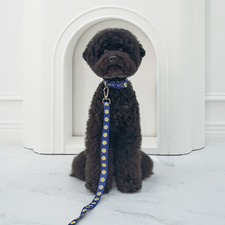 韓國新品上架【梨花娘總代理】🐾BAILEY 🐶秋冬新品 飽合亮色花朵微笑寵物牽繩(4色)
