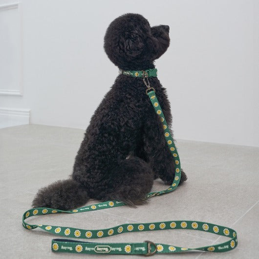 韓國新品上架【梨花娘總代理】🐾BAILEY 🐶秋冬新品 飽合亮色花朵微笑寵物牽繩(4色)