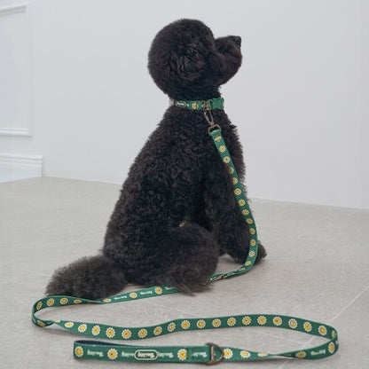 韓國新品上架【梨花娘總代理】🐾BAILEY 🐶秋冬新品 飽合亮色花朵微笑寵物牽繩(4色)