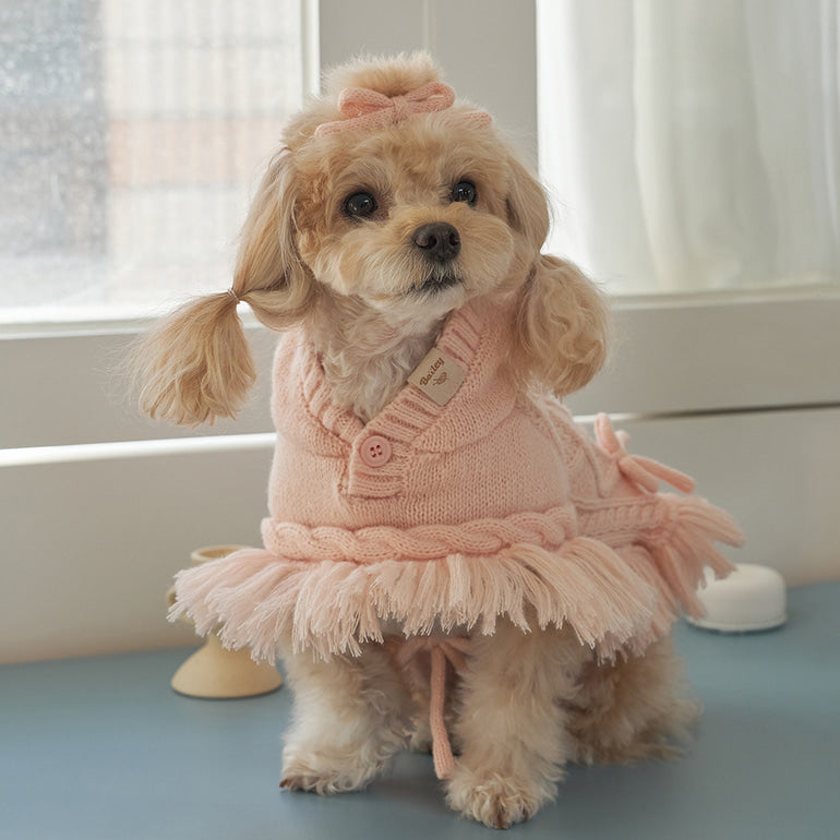 韓國【梨花娘總代理】🐾BAILEY 🐶秋冬新品 針織毛線斗篷連帽蝴蝶結保暖寵物毛衣(2色)