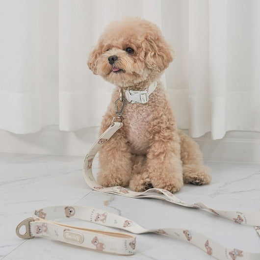 韓國新品上架【梨花娘總代理】🐾BAILEY 🐶秋冬新品 馬卡龍柔軟色系小熊圖案寵物牽繩(3色)
