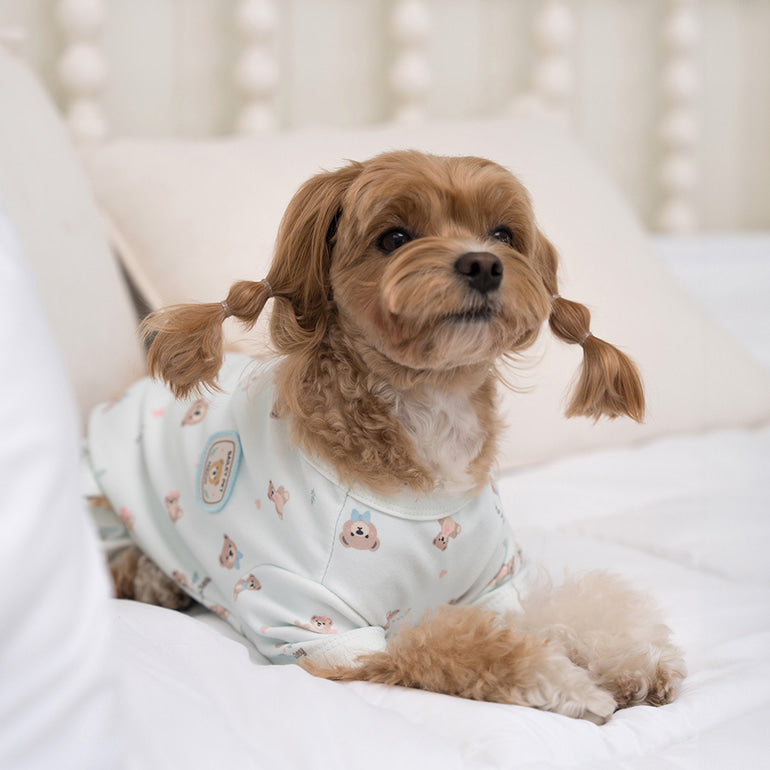 韓國新品上架【梨花娘總代理】🐾BAILEY 🐶新品 滿版小熊圖案舒適透氣寵物連身衣(3色)