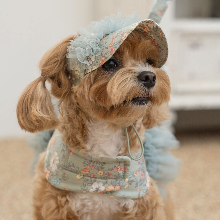 韓國新品上架【梨花娘總代理】🐾BAILEY 🐶新品 溫柔蕾絲荷葉法式小碎花寵物蓬蓬裙+牽引繩(2色)