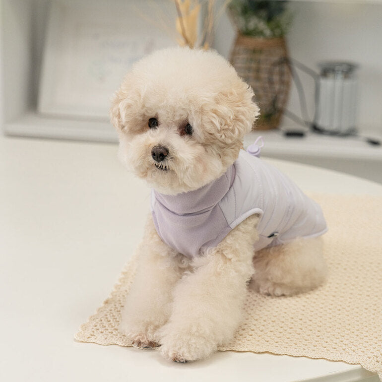 韓國新品上架【梨花娘總代理】🐾BAILEY 🐶秋冬新品 柔軟菌菌拜拜內襯防潑水高領設計保暖寵物服飾(3色)