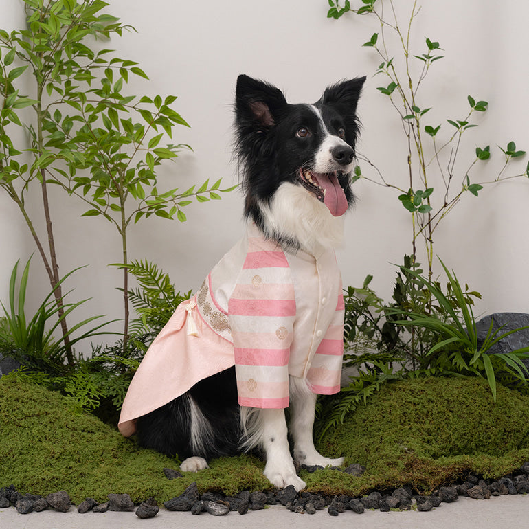 韓國新品上架【梨花娘總代理】🐾BAILEY 🐶秋冬新品 皇室尊貴刺繡流蘇寵物韓服(4色)