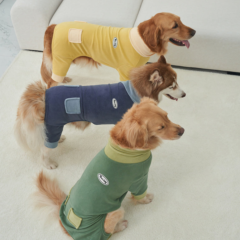 韓國新品上架【梨花娘總代理】🐾BAILEY 🐶秋冬新品 領口釦環設計一件式保暖細絨毛衣寵物服飾(3色)