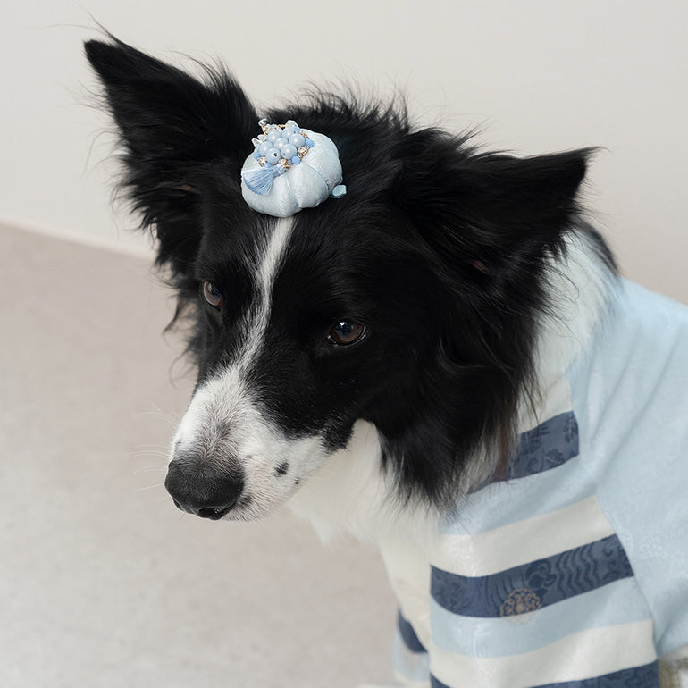 韓國新品上架【梨花娘總代理】🐾BAILEY 🐶韓系華麗宮庭風珍珠流蘇寵物髮夾(9色)