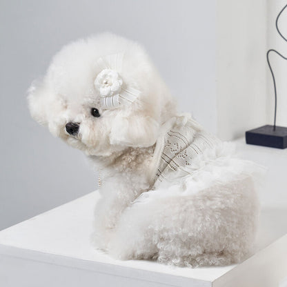 韓國新品上架【梨花娘總代理】🐾BAILEY 🐶秋冬新品 針織拼接蕾絲氣質優雅花朵芭蕾舞裙寵物服飾(2色)