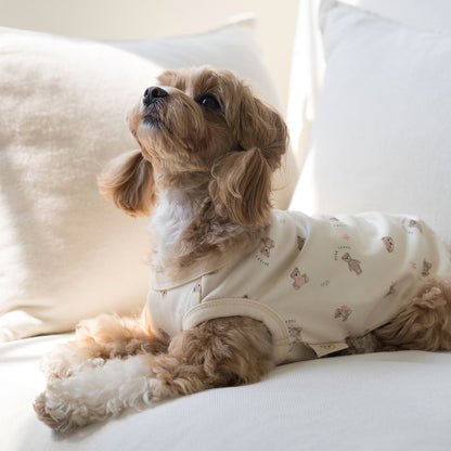 韓國新品上架【梨花娘總代理】🐾BAILEY 🐶新品 萌系滿版小熊棉質舒適涼感防蟲無袖寵物衣(3色)
