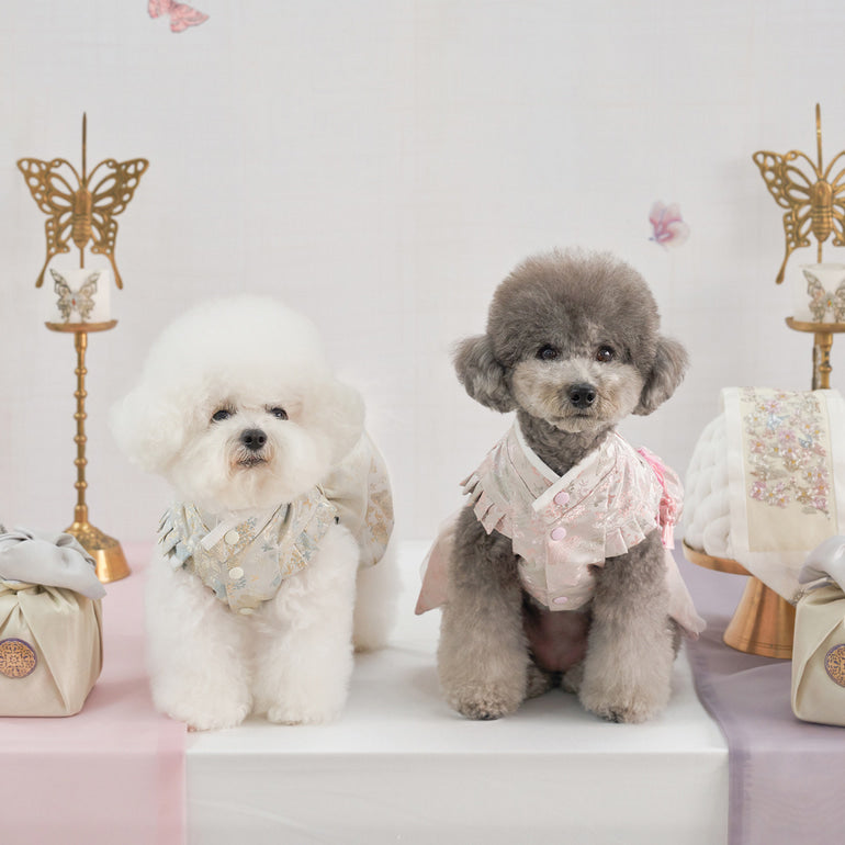 新品上架【梨花娘總代理】🐾韓國BAILEY 🐶秋冬新品 🧨新年編織結寶貝寵物掛福袋香包韓服(2色)