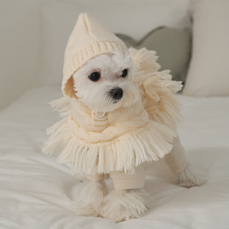 韓國【梨花娘總代理】🐾BAILEY 🐶秋冬新品 針織毛線斗篷連帽蝴蝶結保暖寵物毛衣(2色)
